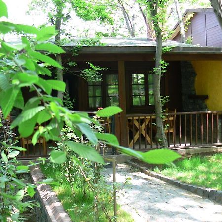 Dolunay Fanizan Hotel 팟사 외부 사진