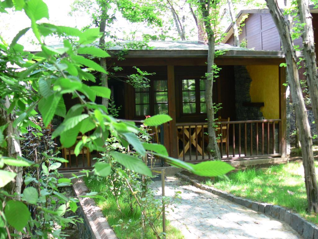 Dolunay Fanizan Hotel 팟사 외부 사진