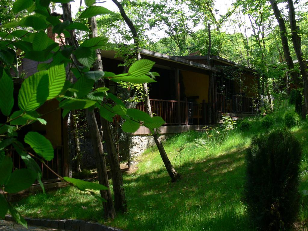 Dolunay Fanizan Hotel 팟사 객실 사진